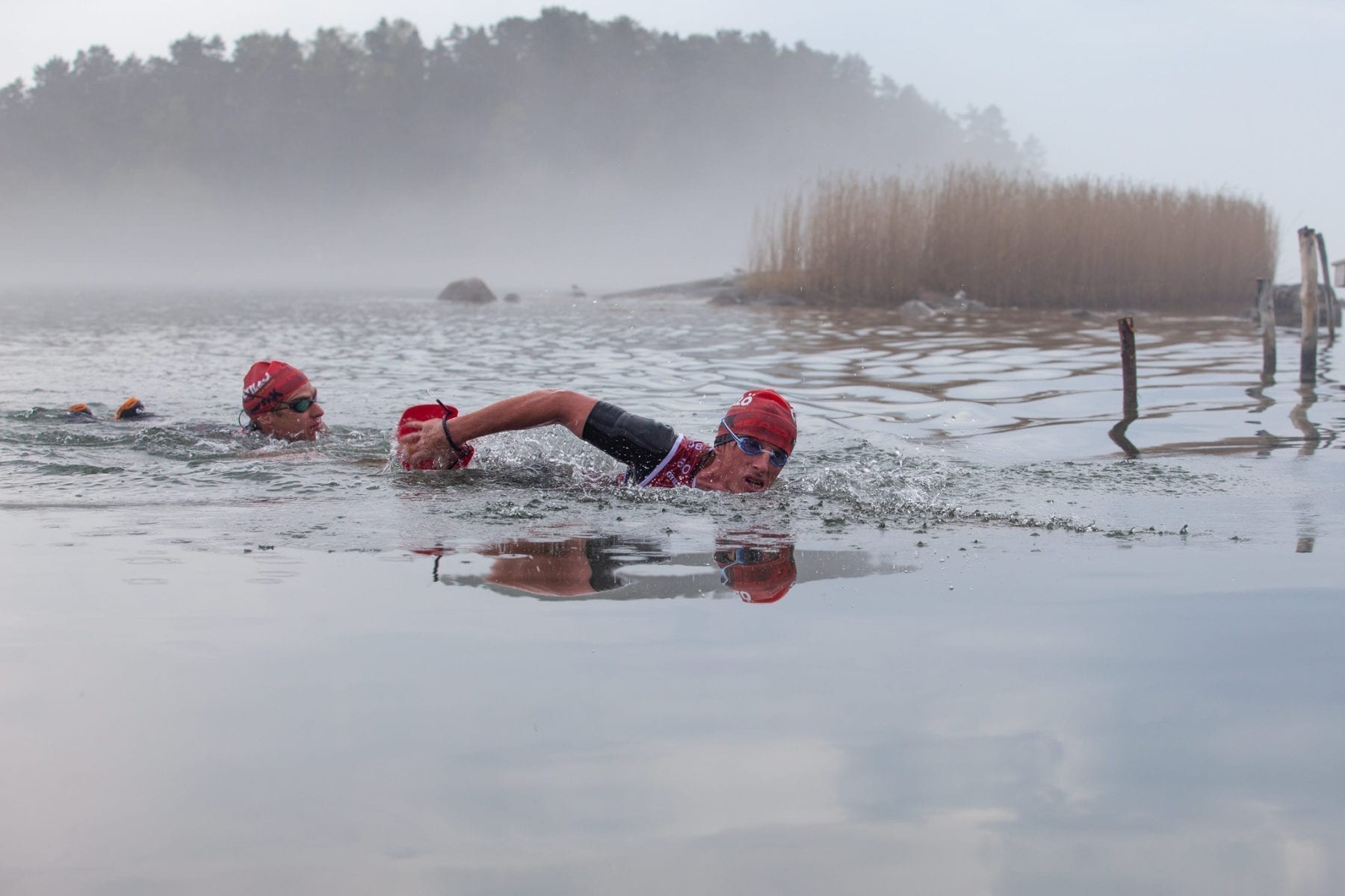 forerunner swimming